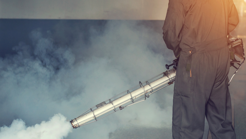 Как избавиться от вредителей на предприятии: 7 эффективных шагов