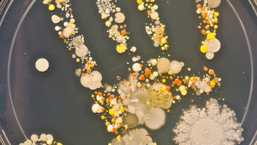 Дезинфекція у квартирі. Що робити, а що не варто.