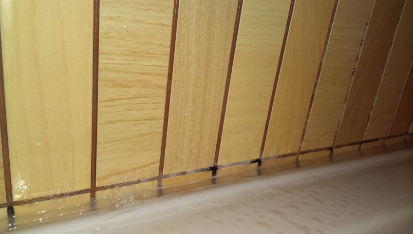 Если дома грибок или плесень ...